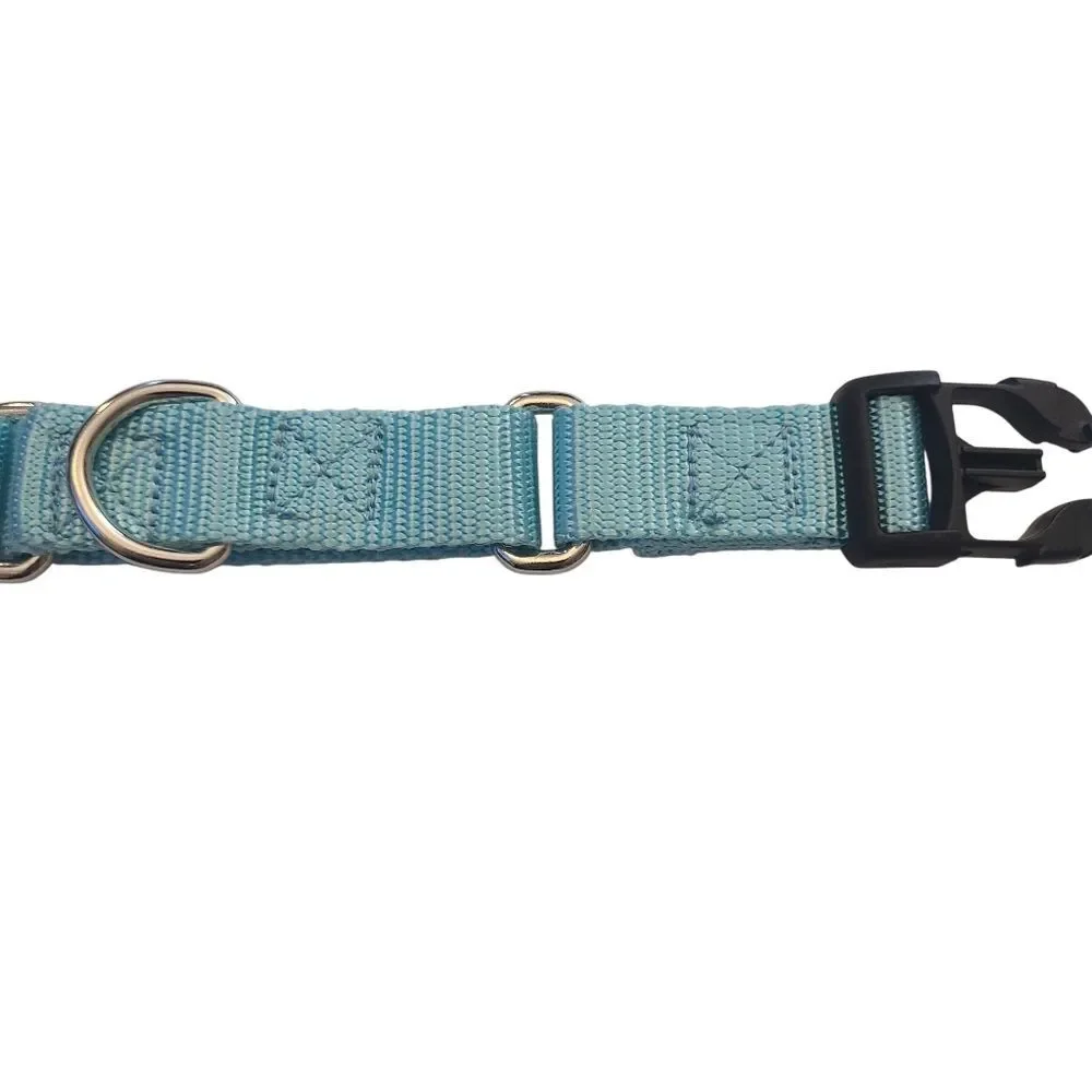 Country Brook Petz Dog Collar Size Large Soft Teal‎ 20